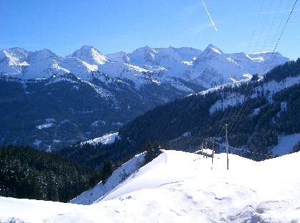 Geisler 038 